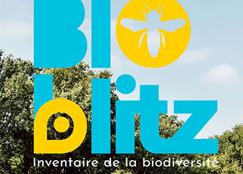 Affiche Bioblitz, un inventaire éclair et participatif